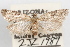  ( - 09-JBTOR-0981)  @11 [ ] CreativeCommons - Attribution (2010) Unspecified Centre for Biodiversity Genomics