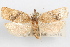  ( - 09-JBTOR-1003)  @14 [ ] CreativeCommons - Attribution (2010) Unspecified Centre for Biodiversity Genomics