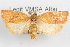  ( - 09-JBTOR-1005)  @14 [ ] CreativeCommons - Attribution (2010) Unspecified Centre for Biodiversity Genomics