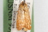  ( - 09-JBTOR-1007)  @11 [ ] CreativeCommons - Attribution (2010) Unspecified Centre for Biodiversity Genomics