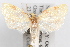  ( - 09-JBTOR-1020)  @13 [ ] CreativeCommons - Attribution (2010) Unspecified Centre for Biodiversity Genomics
