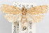  ( - 09-JBTOR-1022)  @11 [ ] CreativeCommons - Attribution (2010) Unspecified Centre for Biodiversity Genomics
