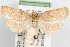  ( - 09-JBTOR-1023)  @11 [ ] CreativeCommons - Attribution (2010) Unspecified Centre for Biodiversity Genomics