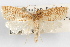  ( - 09-JBTOR-1025)  @11 [ ] CreativeCommons - Attribution (2010) Unspecified Centre for Biodiversity Genomics