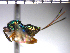  ( - Tbed-Dbi 1)  @13 [ ] No Rights Reserved  Unspecified Unspecified