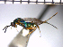  ( - Tbed-Dbi 2)  @13 [ ] No Rights Reserved  Unspecified Unspecified