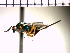  ( - Tbed-Dig 2)  @14 [ ] No Rights Reserved  Unspecified Unspecified