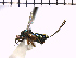  ( - Tbed-Dig 3)  @12 [ ] No Rights Reserved  Unspecified Unspecified