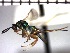  ( - Tbed-Dne 3)  @12 [ ] No Rights Reserved  Unspecified Unspecified