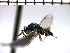  ( - Tbed-Dne 4)  @12 [ ] No Rights Reserved  Unspecified Unspecified