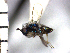  ( - Tbed-Dpo 2)  @12 [ ] No Rights Reserved  Unspecified Unspecified