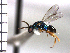 ( - Tbed-Dpo 4)  @12 [ ] No Rights Reserved  Unspecified Unspecified