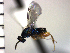 ( - Tbed-Dva 1)  @12 [ ] No Rights Reserved  Unspecified Unspecified