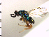  ( - Tbed-Dva 2)  @12 [ ] No Rights Reserved  Unspecified Unspecified