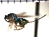  ( - Tbed-Dva 3)  @13 [ ] No Rights Reserved  Unspecified Unspecified