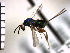  ( - Tbed-Dva 4)  @12 [ ] No Rights Reserved  Unspecified Unspecified