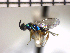  ( - Tchr-Dgr 5)  @11 [ ] No Rights Reserved  Unspecified Unspecified