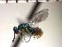  ( - Tchr-Dne 2)  @14 [ ] No Rights Reserved  Unspecified Unspecified