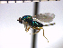  ( - Tchr-Dne 4)  @13 [ ] No Rights Reserved  Unspecified Unspecified
