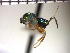  ( - Tchr-Dpo 1)  @12 [ ] No Rights Reserved  Unspecified Unspecified