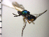  ( - Tchr-Dpo 3)  @12 [ ] No Rights Reserved  Unspecified Unspecified