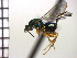  ( - Tchr-Dpo 4)  @12 [ ] No Rights Reserved  Unspecified Unspecified