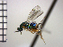  ( - Tchr-Dpo 5)  @12 [ ] No Rights Reserved  Unspecified Unspecified