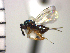  ( - Tchr-Dro 1)  @12 [ ] No Rights Reserved  Unspecified Unspecified