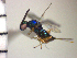  ( - Tchr-Dro 3)  @12 [ ] No Rights Reserved  Unspecified Unspecified