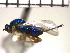  ( - Tchr-Dtr 1)  @12 [ ] No Rights Reserved  Unspecified Unspecified