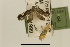  ( - USNM ENT 00933880)  @13 [ ] Unspecified (default): All Rights Reserved  Unspecified Unspecified
