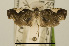  ( - USNM ENT 00933861)  @13 [ ] Unspecified (default): All Rights Reserved  Unspecified Unspecified