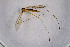  ( - NHMO-DAR-11515)  @11 [ ] CreativeCommons - Attribution Non-Commercial Share-Alike (2016) Unspecified University of Oslo, Natural History Museum