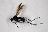  ( - NHMO-DAR-11479)  @11 [ ] CreativeCommons - Attribution Non-Commercial Share-Alike (2016) Unspecified University of Oslo, Natural History Museum