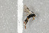  ( - NHMO-DAR-5834)  @12 [ ] CreativeCommons - Attribution Non-Commercial Share-Alike (2015) Unspecified University of Oslo, Natural History Museum