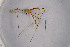  ( - NHMO-DAR-11507)  @11 [ ] CreativeCommons - Attribution Non-Commercial Share-Alike (2016) Unspecified University of Oslo, Natural History Museum