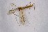  ( - NHMO-DAR-11509)  @11 [ ] CreativeCommons - Attribution Non-Commercial Share-Alike (2016) Unspecified University of Oslo, Natural History Museum