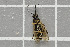  ( - NHMO-DAR-5822)  @12 [ ] CreativeCommons - Attribution Non-Commercial Share-Alike (2015) Unspecified University of Oslo, Natural History Museum