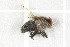  ( - NHMO-DAR-5688)  @11 [ ] CreativeCommons - Attribution Non-Commercial Share-Alike (2015) Unspecified University of Oslo, Natural History Museum
