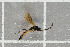  ( - NHMO-DAR-5763)  @12 [ ] CreativeCommons - Attribution Non-Commercial Share-Alike (2015) Unspecified University of Oslo, Natural History Museum
