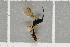  ( - NHMO-DAR-5792)  @12 [ ] CreativeCommons - Attribution Non-Commercial Share-Alike (2015) Unspecified University of Oslo, Natural History Museum