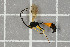  ( - NHMO-DAR-5794)  @11 [ ] CreativeCommons - Attribution Non-Commercial Share-Alike (2015) Unspecified University of Oslo, Natural History Museum