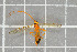  ( - NHMO-DAR-5799)  @12 [ ] CreativeCommons - Attribution Non-Commercial Share-Alike (2015) Unspecified University of Oslo, Natural History Museum