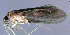  ( - DC244)  @12 [ ] Unspecified (default): All Rights Reserved  Unspecified Unspecified