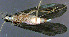  ( - DC246)  @12 [ ] Unspecified (default): All Rights Reserved  Unspecified Unspecified