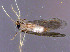  ( - DC249)  @12 [ ] Unspecified (default): All Rights Reserved  Unspecified Unspecified