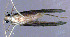  ( - DC279)  @12 [ ] Unspecified (default): All Rights Reserved  Unspecified Unspecified