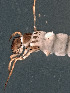  ( - EPAVT145)  @12 [ ] Unspecified (default): All Rights Reserved  Unspecified Unspecified
