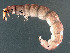  ( - EPAVT152)  @13 [ ] Unspecified (default): All Rights Reserved  Unspecified Unspecified