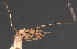  ( - JOS489)  @11 [ ] CreativeCommons - Attribution Share-Alike (2061) Ros St Clair, John Dean none